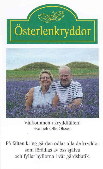 sterlenkryddor
